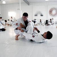 Занятия Медведково - картинка jiu-jitsu-mini.jpg