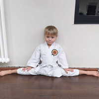 Занятия Медведково - картинка karate-kid-mini.jpg